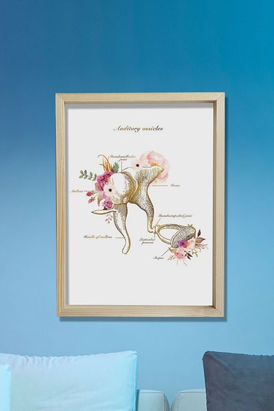 Dekor Loft Artă anatomie osoasă auditivă, anatomie urechii, decor birou pentru odyolog