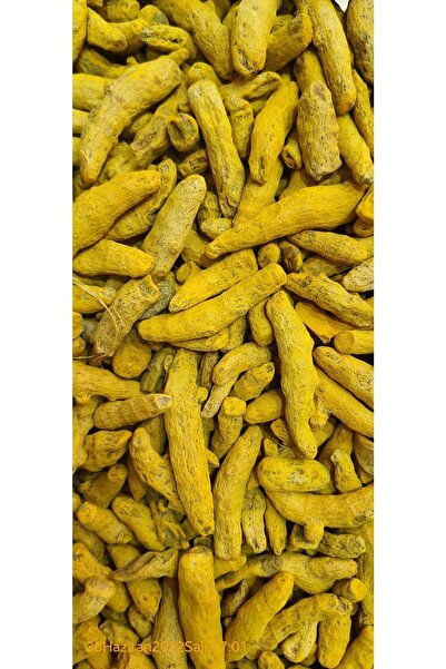 Özbahçe aktar Doğal Kuru Zerdeçal