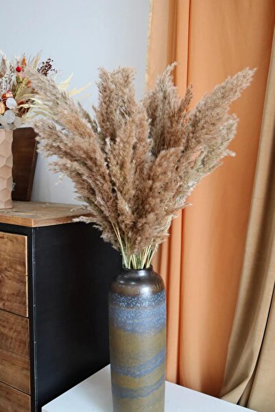 cayon 7 Adet | Dekoratif Pampas | Dekoratif Tüyler | Gerçek Kuru Ot | Bohem Dekor | Düğün Kemeri