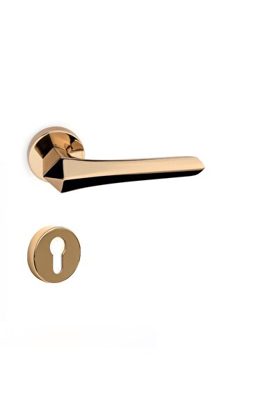 System Stella Altın - Yale (DIŞ KAPI) Rozetli Kapı Kolu - Hha163ro12y Gl