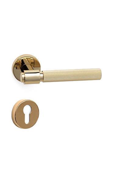 Axes-l Gold - Yale (OUTER DOOR) Door Handle with Badge - Hha213ro12y Gl
