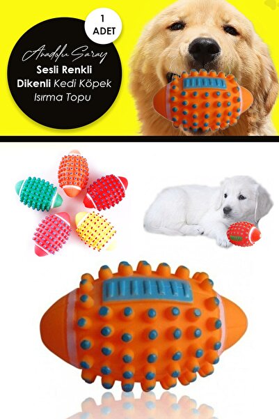 Anadolu Saray Çarşısı Renkli Dikenli Sesli Kedi Köpek Isırma Topu Diş Kaşımaya Yardımcı Köpek Sesli Isırma Topu - 1 Adet