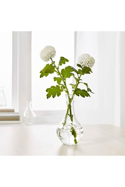 HOLLYHOME Dekoratif Cam Vazo, 17 Cm