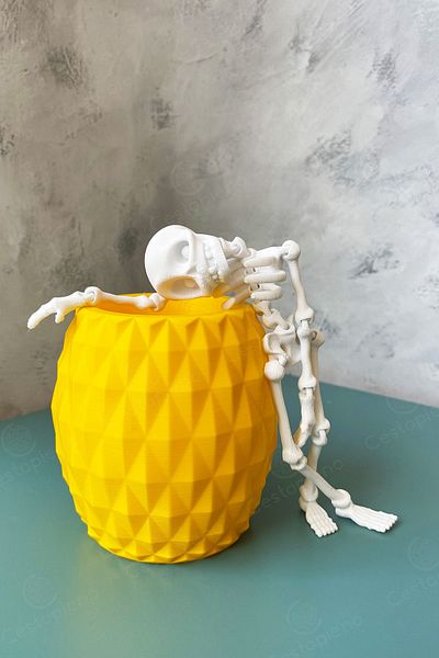 CESTOPİENO White Skeleton Model - Science Educational Toy - Car Interior Accessory