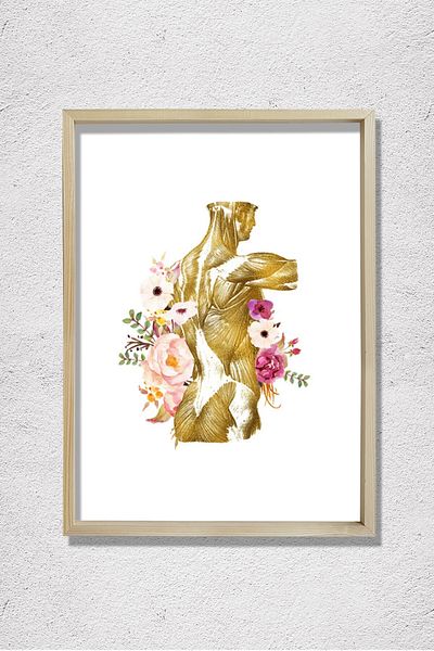 Dekor Loft Anatomie umană Imprimare Sistem muscular Terapeut fizic Decor de birou