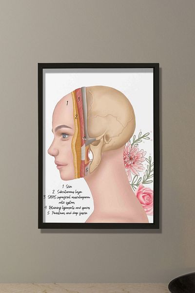 Dekor Loft Straturi cutanate, chirurgie reconstructivă facială, chirurg plastic și estetic, pictură murală pentru camera medicului