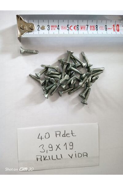 DRL HIRDAVAT 40 Adet 3,9×19 Akıllı Vida - 2 Paket