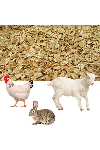 otolasticaret Arpa Flake Yem 1 Kg - Tavuk, Tavşan, Kuzu, Hindi, Tavus Kuşu -