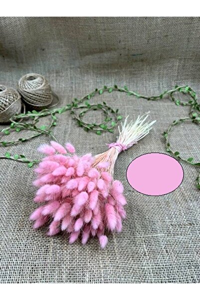 Bontex زهرة صناعية ملونة من عشب القطن - ديكور زهور صناعية، زينة الطاولة، خلفي...