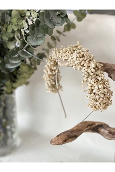 Fiorimatrimonio Beyaz Cipso Taç - Lohusa Tacı - Gelin Tacı - Kuru Çiçek Taç –...