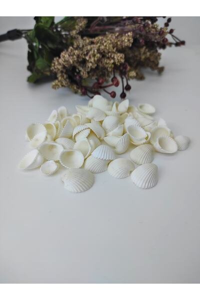 Bontex Cremă de scoici și scoici marine 1 pachet 25 grame – Mărgele