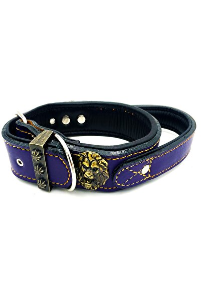 Tasma Market Mor Özel Tasarım Tutma Kulplu Deri Köpek Tasması