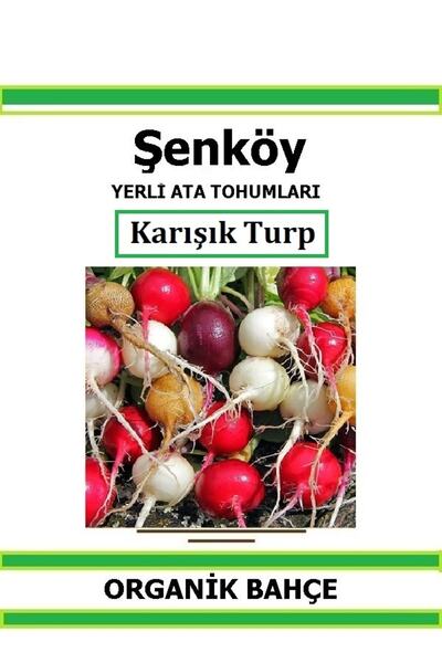 Şenköy Yerli Kırmızı Beyaz Siyah Fındık Turp Tohumu Doğal Ata Tohum Pakette 5 Çeşit 8 GR 800 Tohum