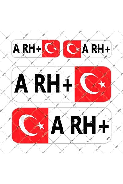 Bay Etiket Bt03 Reflektif A Rh Pozitif (+) Kan Grubu Etiket Seti