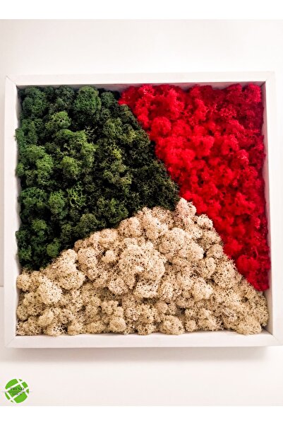 TREND Geo Collection - Reindeer Moss Tablo