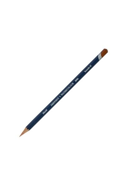 Derwent Watercolour Pencil (watercolour pen) Terracotta (64)