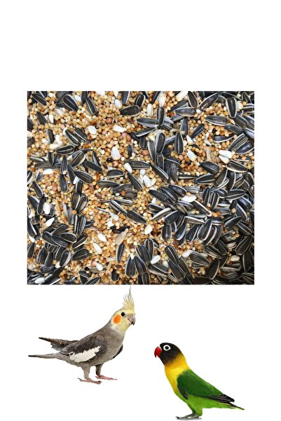 Vivid Sultan - Cennet Papağanı Yemi 1 Kg - Papağan Yemi