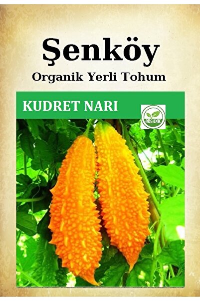 Şenköy Yerli Kudret Narı Tohumu Doğal Ata Tohumu Pakette 50 Tohum