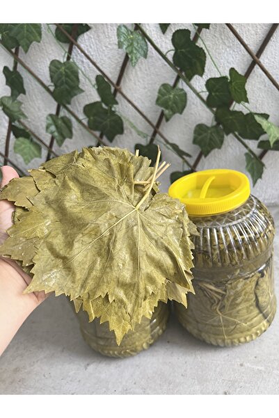 Üzüm Atölyesi Uç Salamura Yaprak 5kg