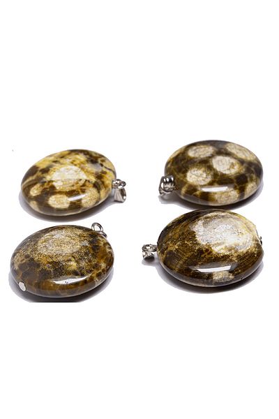Tesbih Atölyesi Certified Natural Ammonite Fossil Natural Stone Necklace