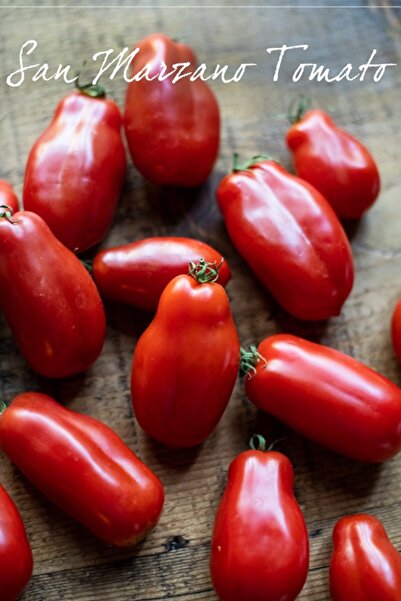 ZENGARDEN EV VE BAHÇE San Marzano Domatesi Tohumu Atalık Italyan