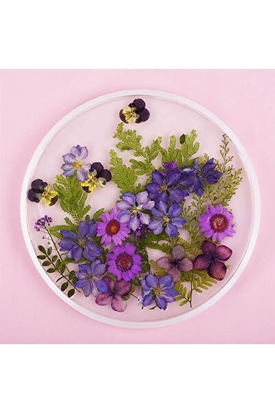 Siliko World Epoksi Reçine Tepsi Kalıbı 30cm