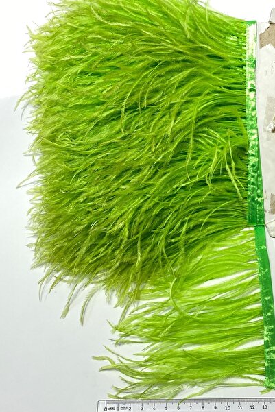 Genel Markalar Açık Yeşil Rengi Deve Kuşu Tüyü 1 Metre – Dekoratif Şerit