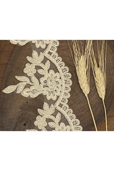 Bontex Kapućino francuska čipka 1 metar – Čipka