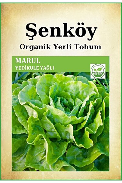 Şenköy Yerli Yedikule Marul Tohumu Doğal Ata Yedikule Yağlı Marul Tohumu Pake...
