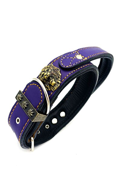 Tasma Market Mor Özel Tasarım Tutma Kulplu Deri Köpek Tasması