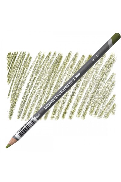Derwent Graphitint Pencil (coloured Graphite Pencil) Ivy (11)