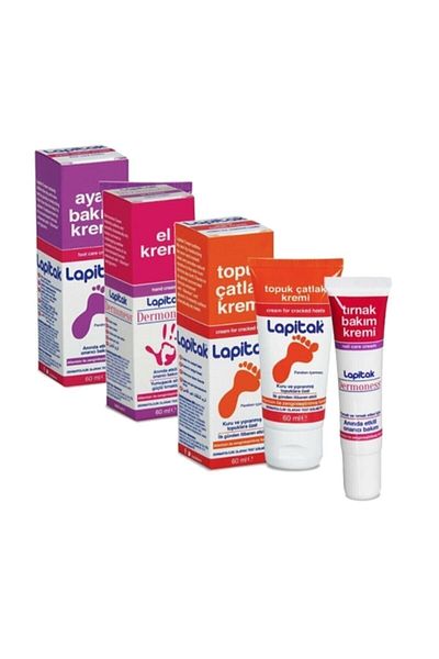 Lapitak 4-Piece Hand Foot Heel Nail Care Set