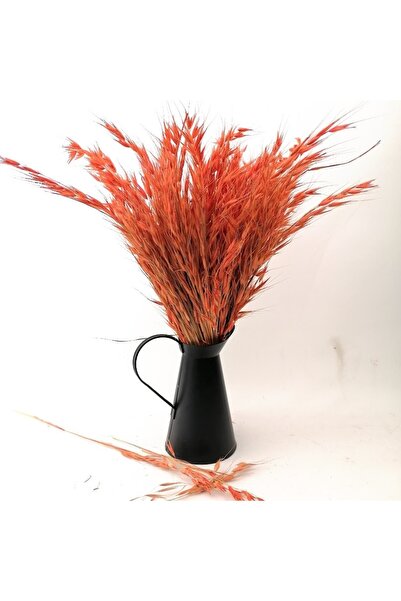 Hidden Botanics Kuru Çiçek Yulaf Otu Demeti Turuncu 50 Dal 45cm Boy