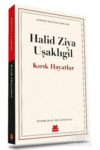 Kırmızı Kedi Yayınevi Kırık Hayatlar