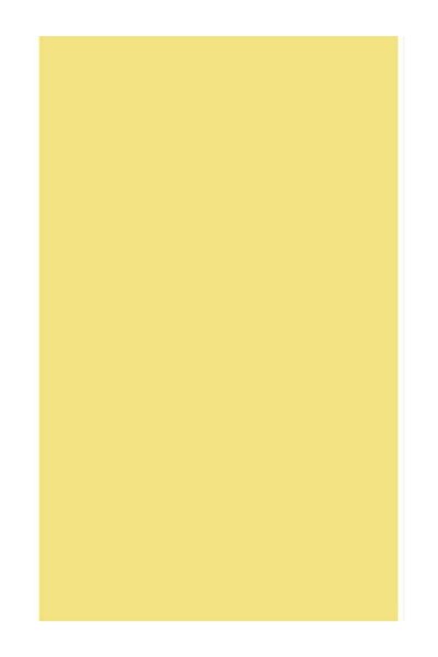 Point Plus 50x70 Açık Sarı Fon Kartonu 150 Gr. 100 Adet