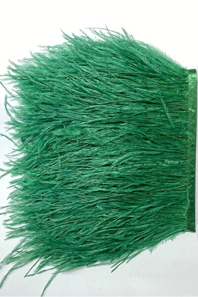 Aker Hediyelik شريط ريش نعام أخضر اللون لأرجل الدنيم: 10 سم طول الريش: 10-15 ...