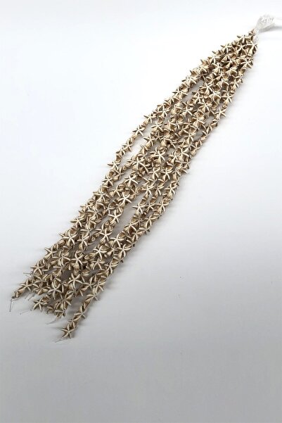 Bride Aksesuar Dünyası Krem boje zvezdaste kamene perle – Perle