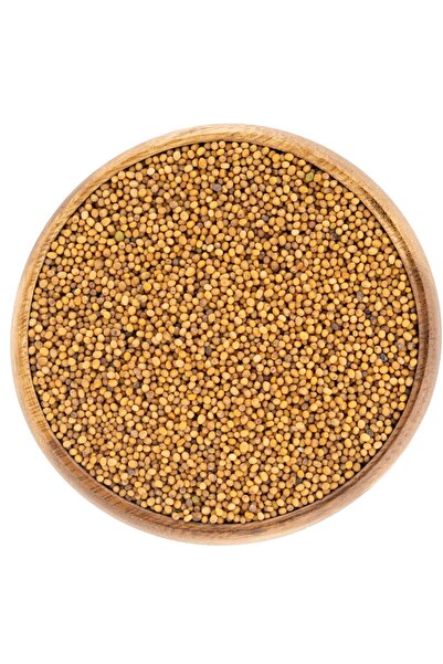 Aktar Store Sarı Hardal Tohumu 50 Gr