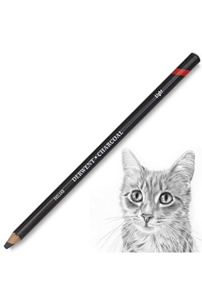 Derwent قلم فحم (ضوء / مفتوح)