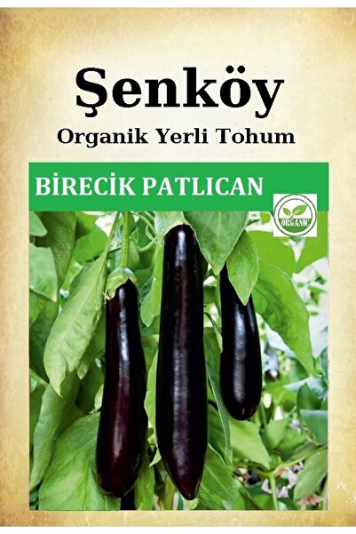 Şenköy Birecik Kemer Patlıcan Tohumu Doğal Ata Tohumu Pakette 100 Tohum Hediye Sebze Tohumu