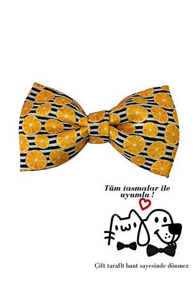 UTDpet ربطة عنق للكلاب والقطط من ليمونا (بدون مقود)