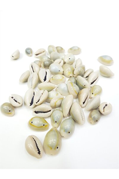 FdayAksesuar Vrste perli Šarene školjke (25 GR) – Perle