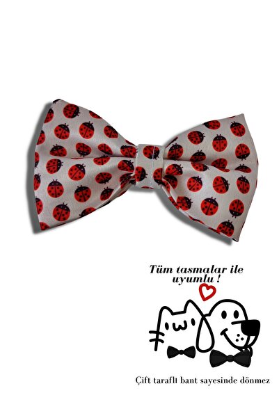 UTDpet ربطة عنق للكلاب والقطط (بدون قرص)