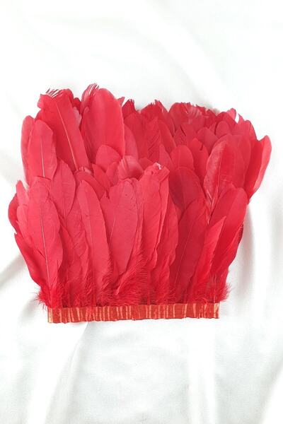 Bride Aksesuar Dünyası Accesoriu panglică decorativă cu pene de vultur roșu –...
