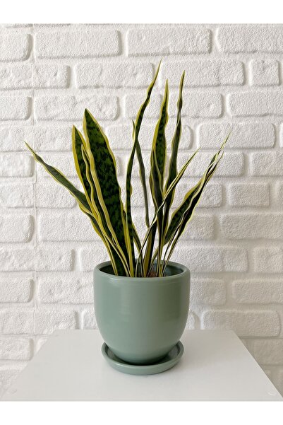 odka 8litre Saksı Tabaklı Yükseklik:17cm Çap:19cm Mint Yeşili