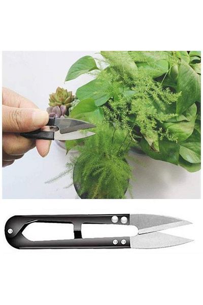 HomeCare 715722 Model Flower Cutting and Care Scissors