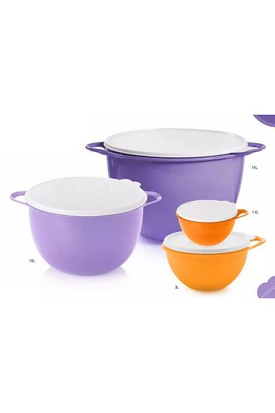 Tupperware Large Colorful 4-Piece Mixed Storage Container Set
