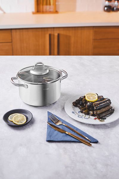 Emsan Steel Force Deep Pot 22 Cm