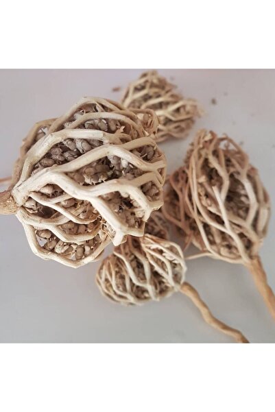 aktarloji 3 Adet Meryam Ana Fatma Ana Eli Otu