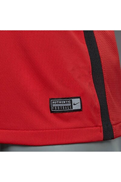 Nike Dry Revolution - Ανδρικό κόκκινο αθλητικό μπλουζάκι - 833017 -657